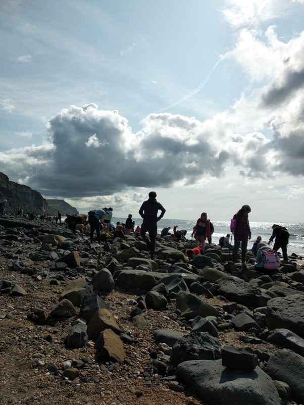 Fossil Hunters on Charmouth Beach