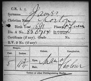 Norton James’ official MN card stating him to be a “Man of Colour”. 