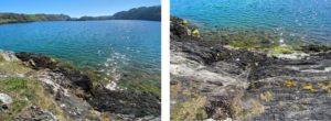 Landscape images of Lough Hyne in the sunshine 